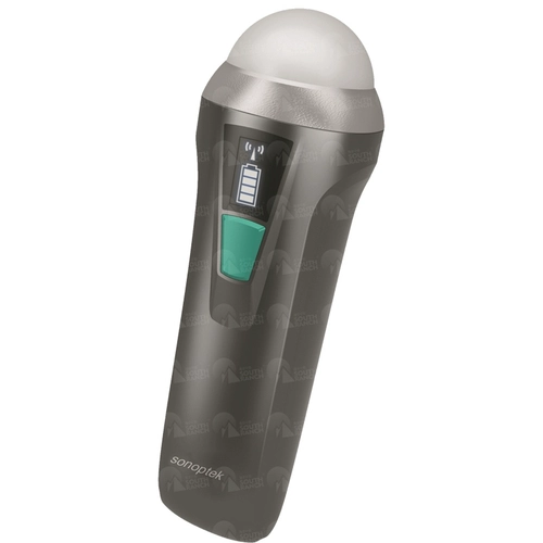 Pig B -ultrasounce Pet, кошка, кошка, собака, крупный рогатый скот, овца, свинина, беспроводной B -Ольтразвук, портативный инструмент проверки на беременность B -Ольтраз -беременный счетчик