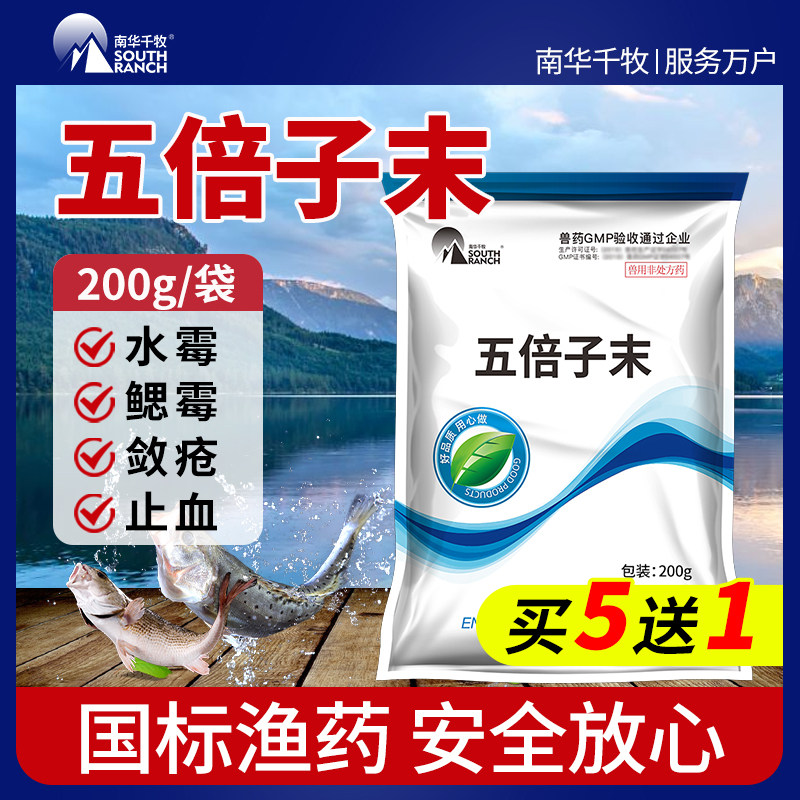Five times Submarine Aquatic Breeding Gills of Gills Water Molars specializes in white mullet pond Astringent Scabies for Traumatic Hemorrhage of Bleeding Fish