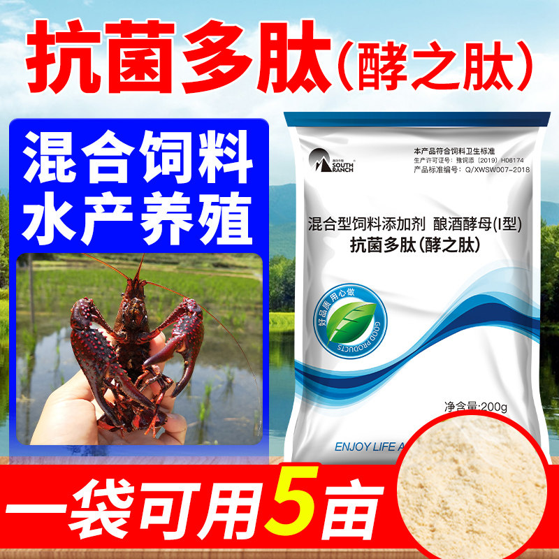 Polypeptide intestinal hydrological production with treasure peptide live fish bacteria pond shrimp pond lactic acid bacteria prawn small lobster without breeding