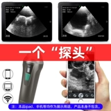 Pig B -ultrasounce Pet, кошка, кошка, собака, крупный рогатый скот, овца, свинина, беспроводной B -Ольтразвук, портативный инструмент проверки на беременность B -Ольтраз -беременный счетчик