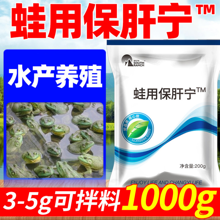 Frog Pets with Liver Protection Aquatic Breeding Frog Bullfrog Protect Liver And Liver Forest Frog Protect Liver and Liver Care Liver