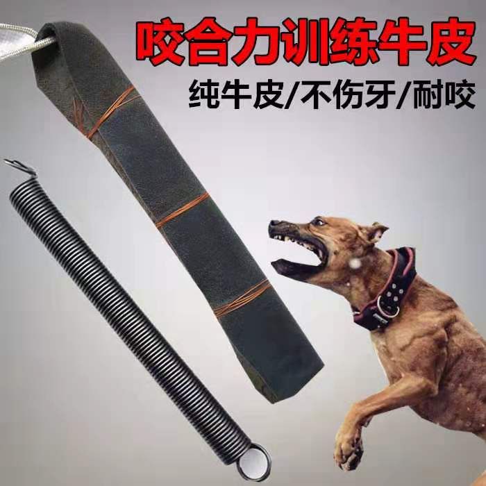 Dog fighting pit bull training supplies equipment hanging mouth cowhide stick with spring complete set of horse dog bite stick audience