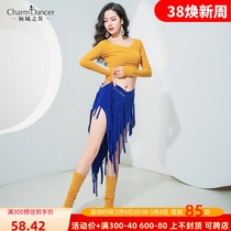 Belly dance belly dance dress 2023 new practice utiliti long sleeve suit Sox overskirt practice suit