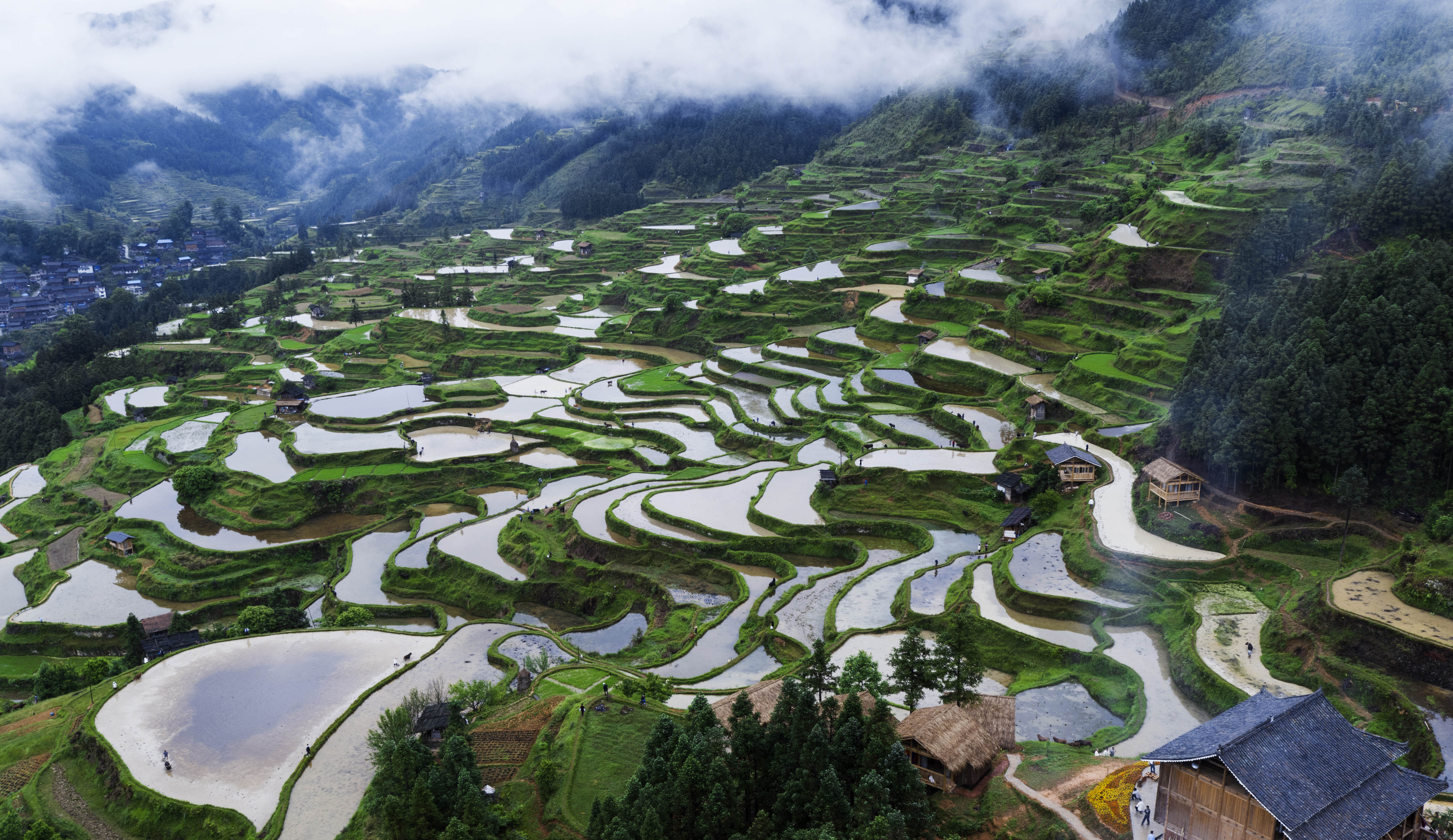 ��ũǧţ�ף�������OuxQinpSenc�����ף���ũ��ţ��