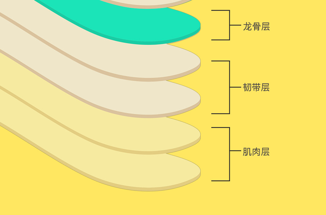 Youpin Skateboard 20190705_10.jpg