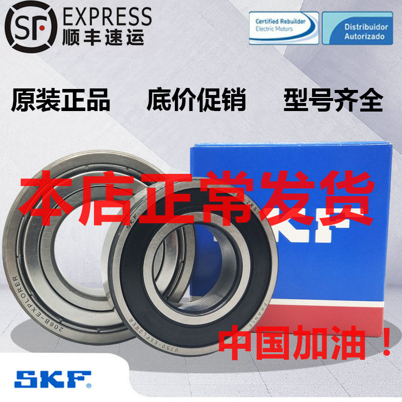 SKF Swedish Bearing 6006 6007 6008 6009 6010-2RS1 2Z Special Bearing for High Speed Motor