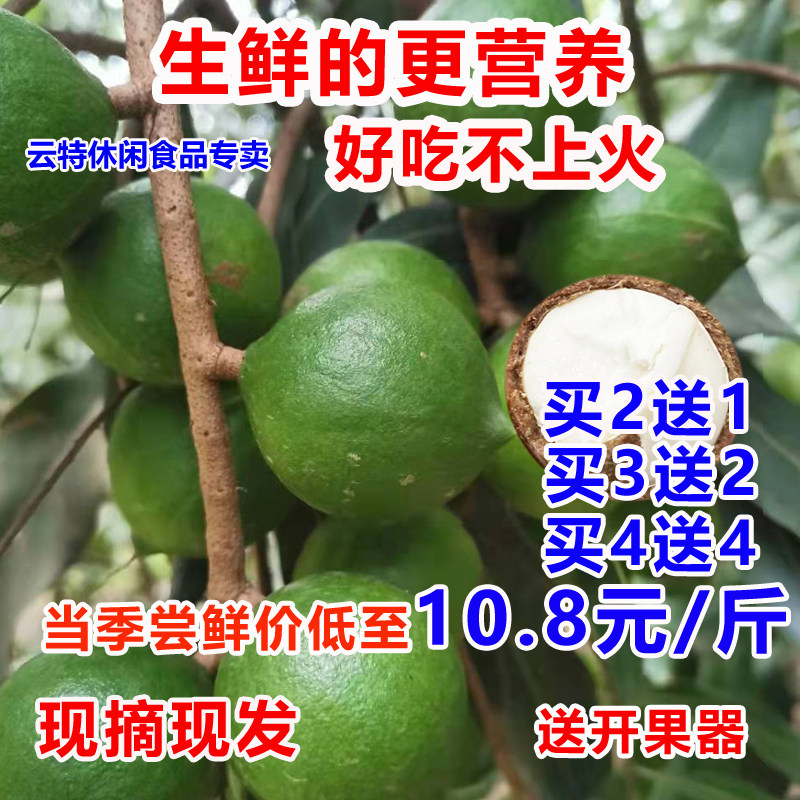(Buy 4 jins get 4 jins free) Yunnan fresh macadamia nuts original fruit macadamia nuts without added nutrition for pregnant women
