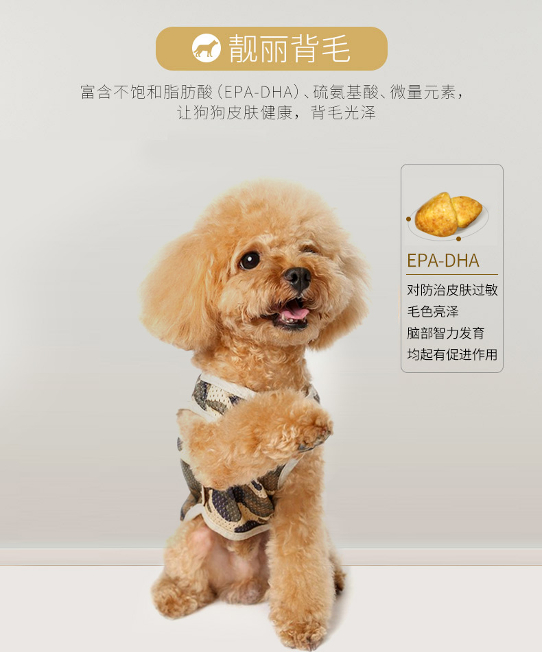 Sức mạnh sói sói bộ lạc thức ăn cho chó 5kg thức ăn cho chó trưởng thành Teddy hơn Xiong Bomei luật đấu với con chó nhỏ VIP đặc biệt 10 kg - Chó Staples cám royal canin