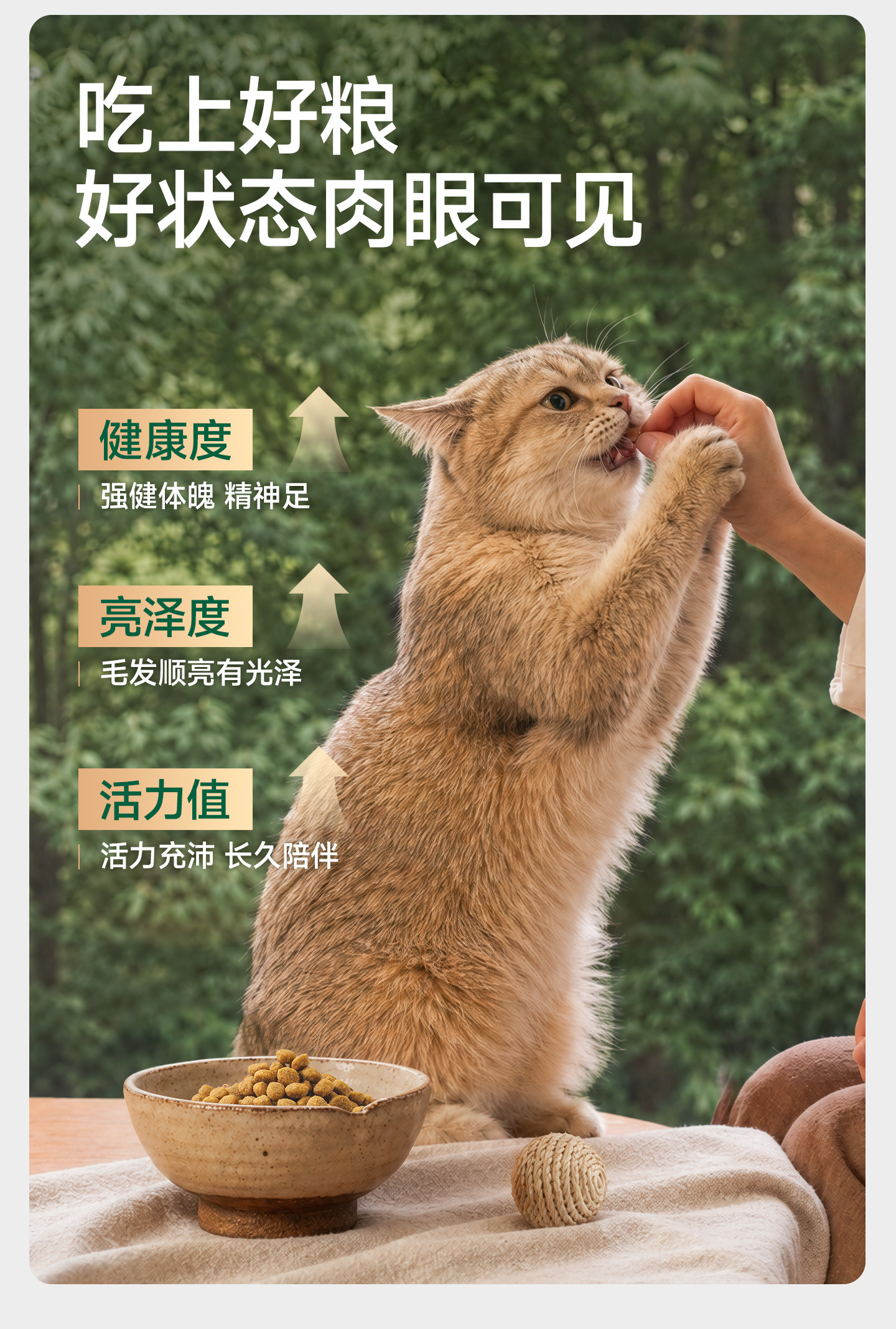 安享好物 安享A级猫粮-力狼e族  全价 鲜鸭肉猫粮 企标 