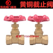 Japan KITZ Kitazawa Brass Globe Valve PN16CZ Water Pipe Water Meter Valve 6 Pipe Thread Switch DN25