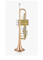 Bastet trumpet BTR-556 type B flat trumpet for beginners to play wind instruments