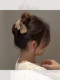 2026 New-end High-end Irregular Tassel Grip Clip for Back of Head Hair Style Versatile Hair Clip Accessories