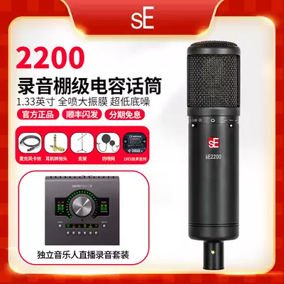 US sE 2200 professional recording microphone instrument condenser microphone recording studio music man set live song
