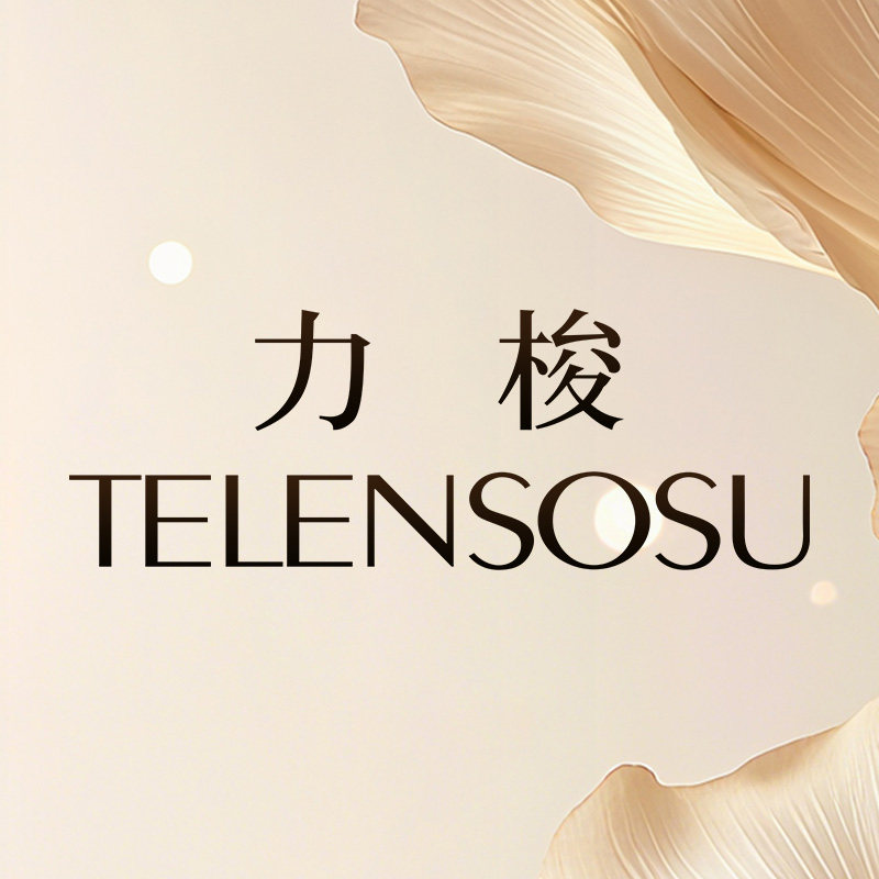 TELENSOSU力梭手表