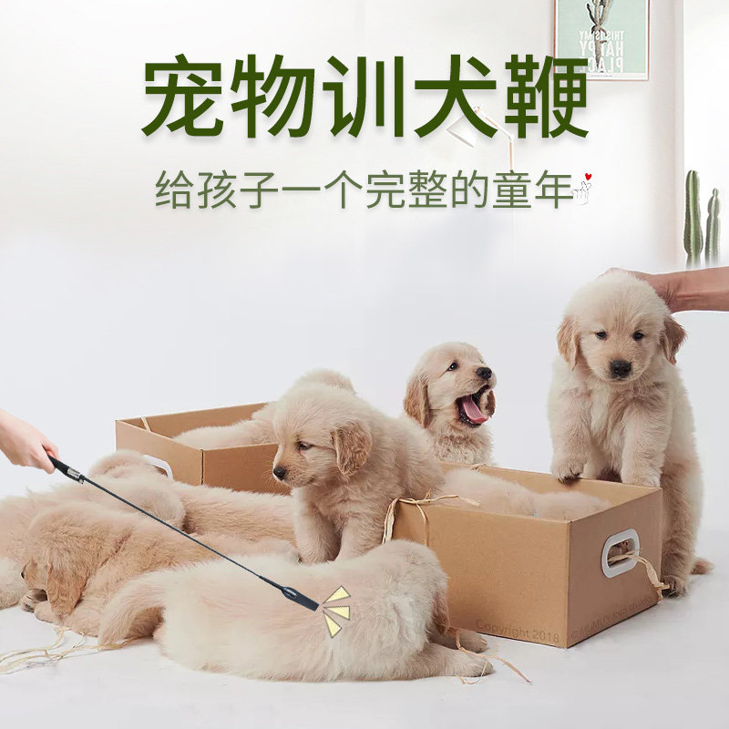 Dog stick training dog artifact training dog whip love pat dog pat dog stick tutorial horse dog equipment pet training supplies