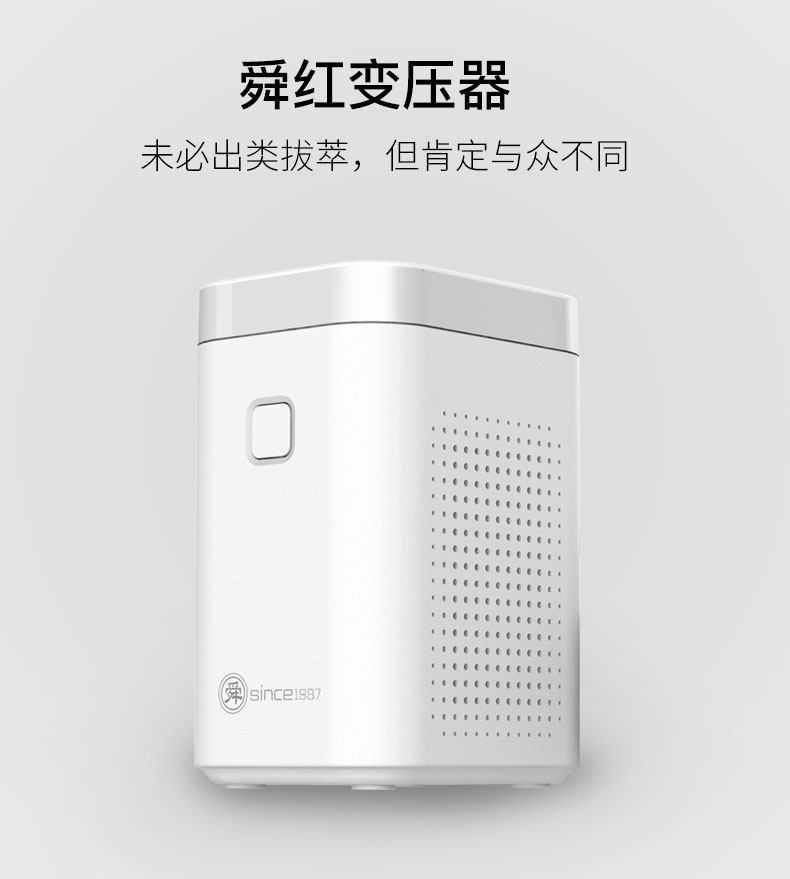 Shun Red Transformer 220v to 110v200W small power Japanese Purifier Purifier Purifier denturer American appliances