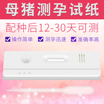 Pig early pregnancy special pregnancy paper pig test stick sow early pregnancy test paper test sow pregnancy test paper diagnostic test paper