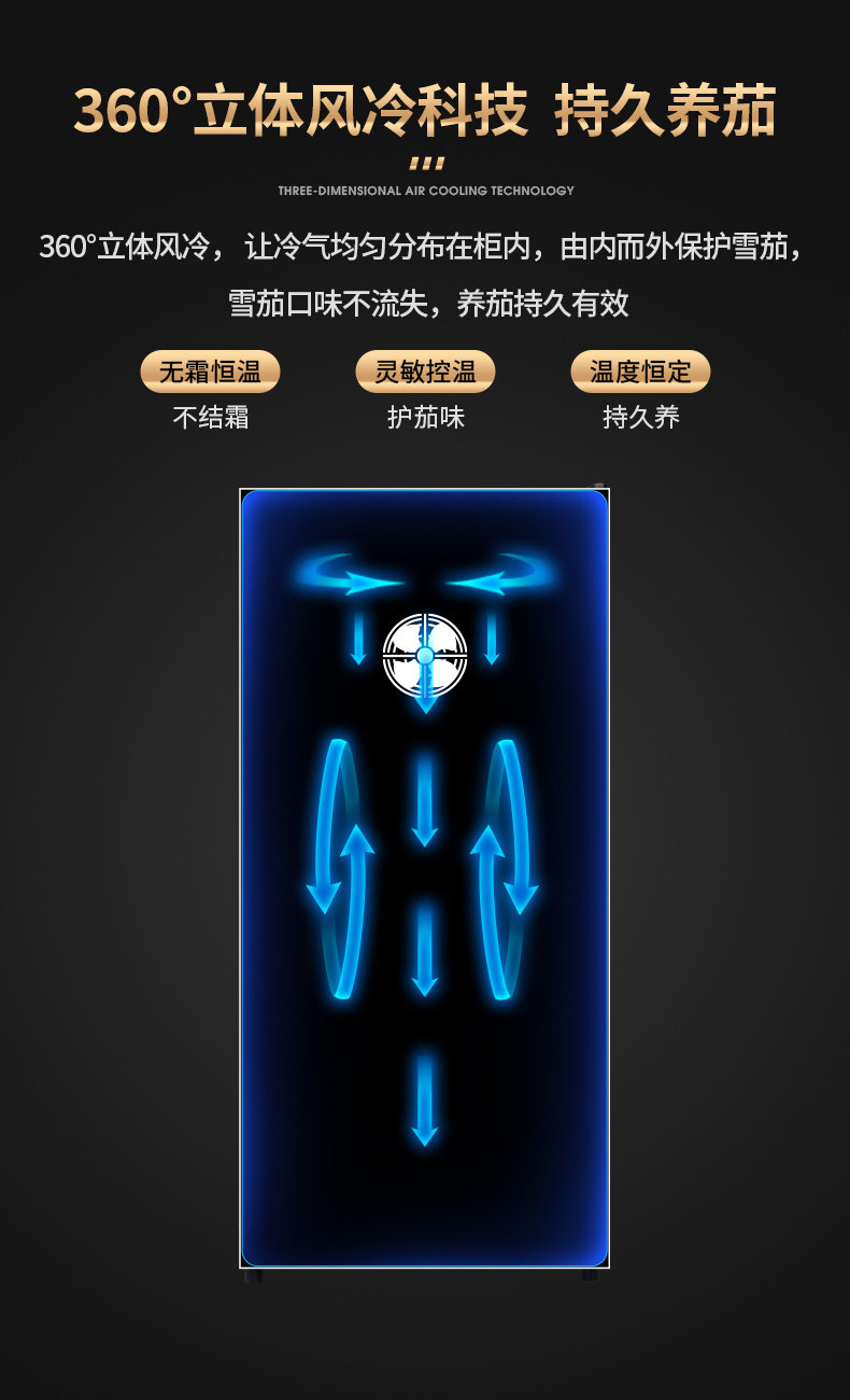 168 Double Pin Jiaolong_15.jpg