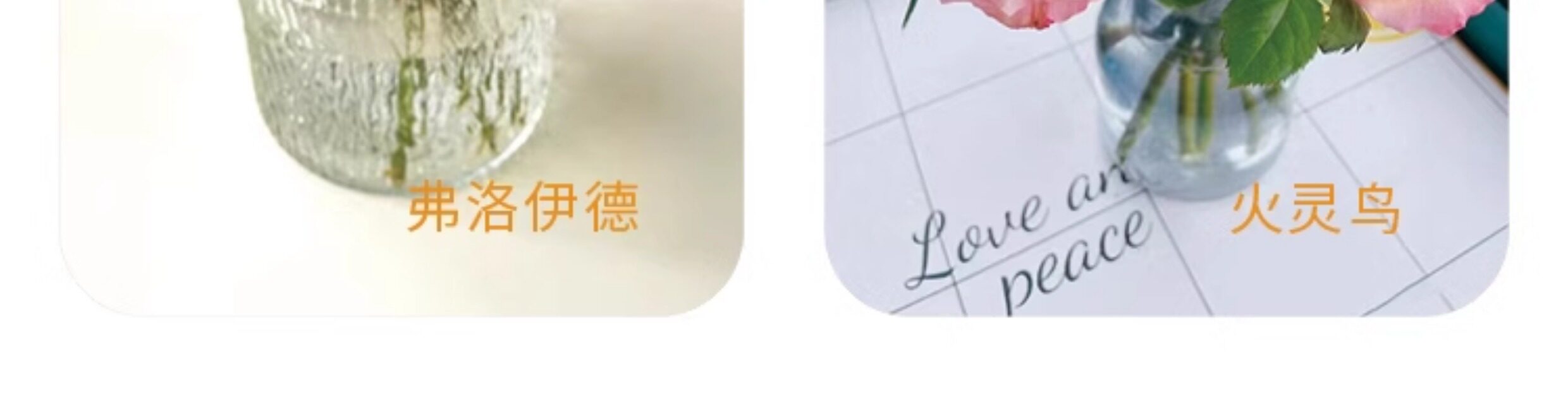 Цветы 梦金鹏幻紫玫瑰鲜花小粉兔肯辛顿公园单头鲜切花室内水养新鲜插花