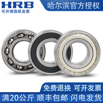 HRB Harbin Bearing 16019mm 16020mm 16021mm 16022mm 16024mm 16026 ZZ 2RZ