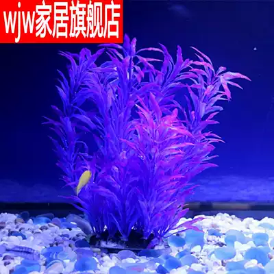 Simulation of aquatic plants in the fish tank. The aquatic plants in the fish tank are placed in the fish tank.