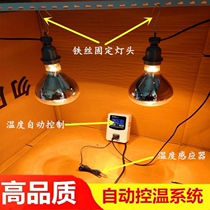 Chicks Warm Light Warm Special Accessories Small Chicken Insulation Lamp Control Warm Appliance Chicken Duck Goose Air Conditioning Insulation equipment