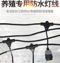 Livestock Ranch Outdoor Multifunction Chicken Duck House Waterproof Light Wire Plant Tonic Light Breeding Floodlight Strings Integrated Studs