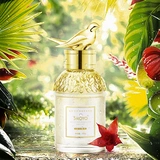 Подлинный Shoyo Light кислород и светло -ласточка для птичьего гнезда Новый год -свежее тушеные птичье гнездо золото золото.