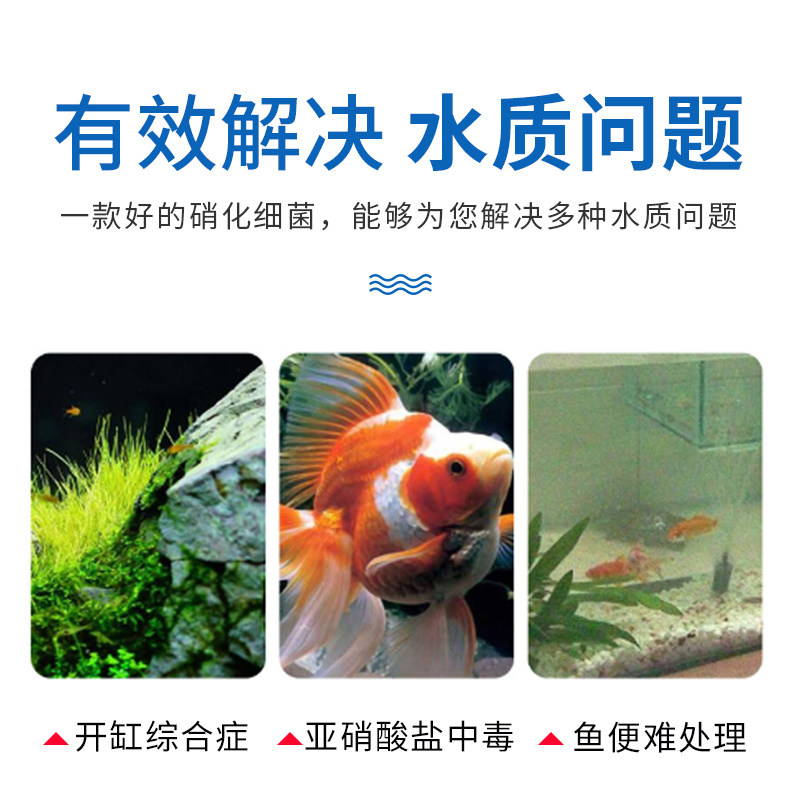 [USD 11.56] Nitrified Bacteria Fish Tank Nitrified Live Bacteria Dry ...
