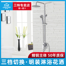 Jiayun bathroom all-copper shower set Household surface-mounted toilet rain nozzle pressurized cold tropical water
