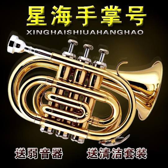 Brand New Genuine Lacquered Nickel-Plated Xinghai Trumpet Instrument, Palm Trumpet Instrument for Beginners, Grading Exams, and Performance