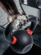 Solid Cast Iron Kettlebell for Women's Fitness, Home Use, 8kg, Anti-Slip Training, Professional Competition Dumbbell, Kettlebell 6kg for Men