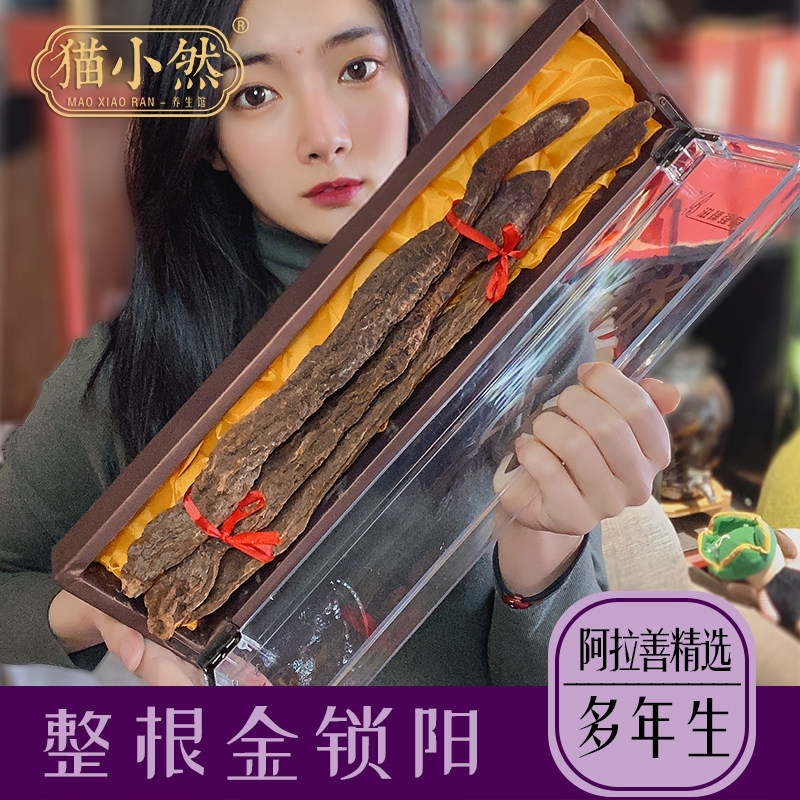 Authentic Inner Mongolia Alxa Cynomorium 500g Whole Root Male Soaked Wine Ingredients Golden Cynomorium Tablets Can Be Taken With Cistanche Epimedium