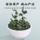 Hongkui Anxi Tieguanyin Tea Пейте сами Ароматный чай Премиум-класса 2025 года выпуска, Новый Улун, Подарочная упаковка, 500 г mini 4