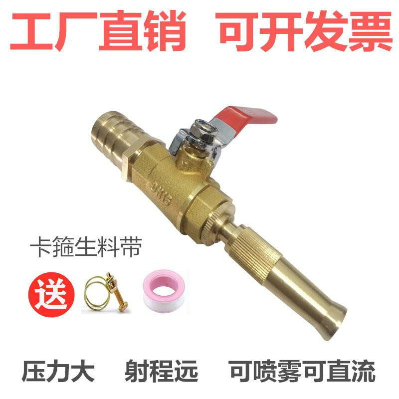 Full copper high-pressure car wash water pipe hose home car wash watering washes flush floor hog-ring pigwash spray gun