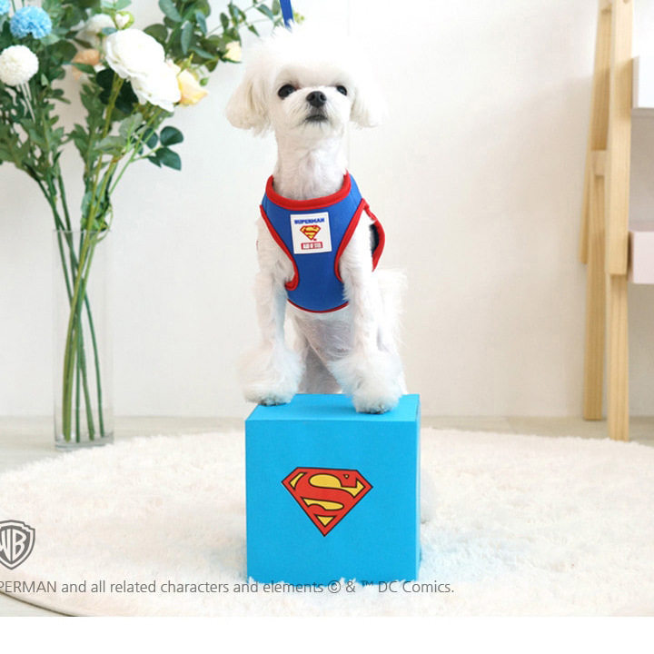 Korean parisdog dog pet chest back Superman Spider-Man dog leash walking dog leash set