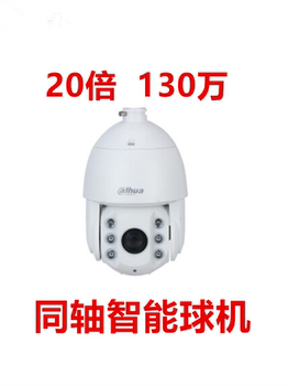 Dahua 20 times 1.3 million ball machine infrared coaxial