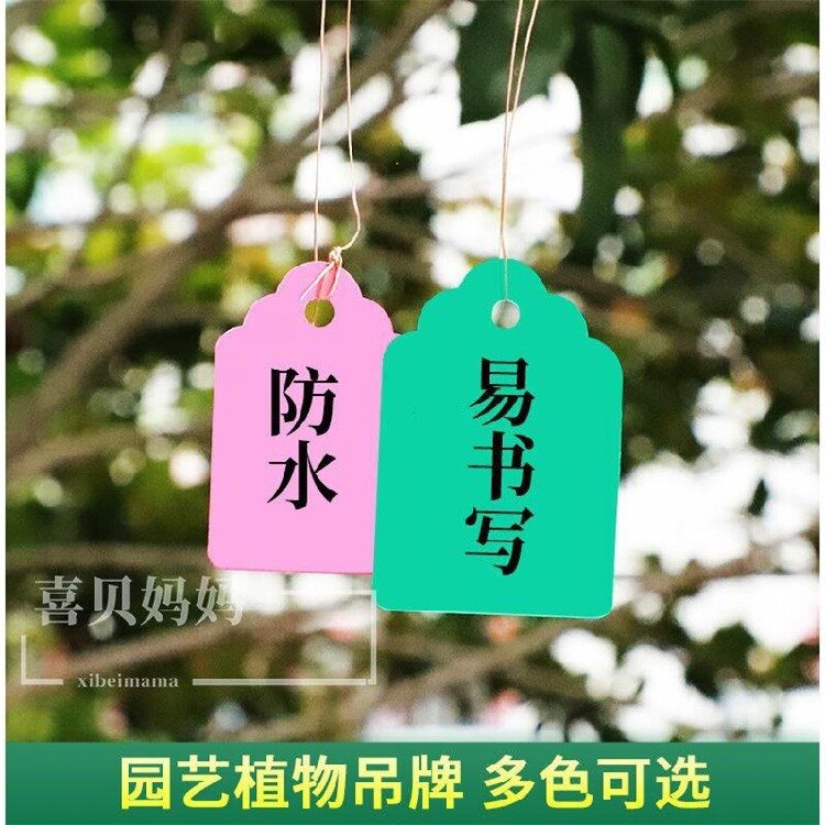 Horticultural labels Colour plastic labels Vegetal Mark Potted Plant Flowers Name Floral wood tether Rope Pendant