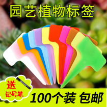 Multi-meat labelled Horticultural flower Name Label Flower Inserts Gardening planting Name Recognition Cards