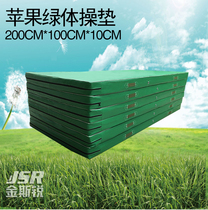 Manufacturer Direct Sales Professional Gymnastics Mat Premium Leather Fabric High Bounce Regenerative Compression Sponge With Zipper Design