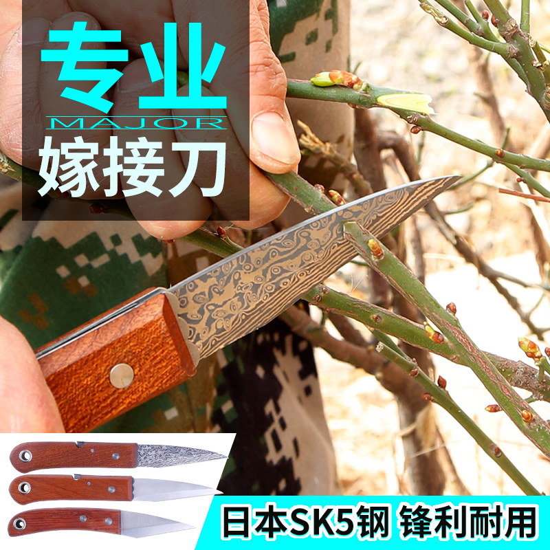 Graft knife Miao wood fruit tree fast grafting tool coarse tree pick up tree bud pick up knife graft Shenzer pruner knife cut wood knife