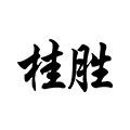 桂胜家居日用品牌店