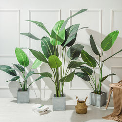 Simulated Green Plants, Nordic Decoration, High-End Light Luxury Living Room Floor-Standing Artificial Potted Plants, Indoor Areca Palm Fake Plants for Landscaping