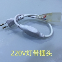 LED lamp with ballast plug regulator power drive waterproof explosion-proof high power special plug