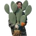 专业植物美容达人