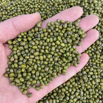 Mung bean pigeon feed Parrot bird eating hamster snack pigeon feed race pigeon ornamental pigeon grain mung bean 500g