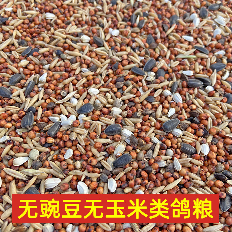 Young pigeon spotted dove grain Pigeon feed No corn no pea pigeon food Young pigeons eat one piece = 5 catties