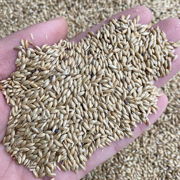 Imported Ghanaian Li Parrot Bird Oil Poppy White Poppy Lu Seed Bird Grain Pigeon Grain