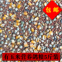 5 pounds of corn pigeon food Saifei nutritional feed Bird food Carrier pigeon Ornamental pigeon meat Pigeon food