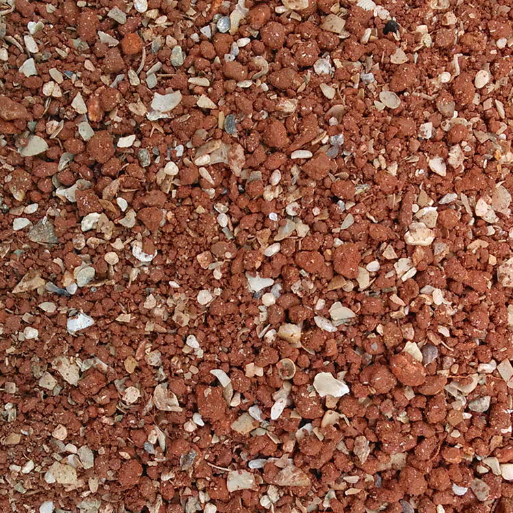 Chim y tế chăm sóc sức khỏe cát cát chim bồ câu chim bồ câu đua chim bồ câu cung cấp vẹt đỏ đất bồ câu canxi chim bồ câu thức ăn chim bồ câu thức ăn chim - Chim & Chăm sóc chim Supplies lồng chim giá rẻ